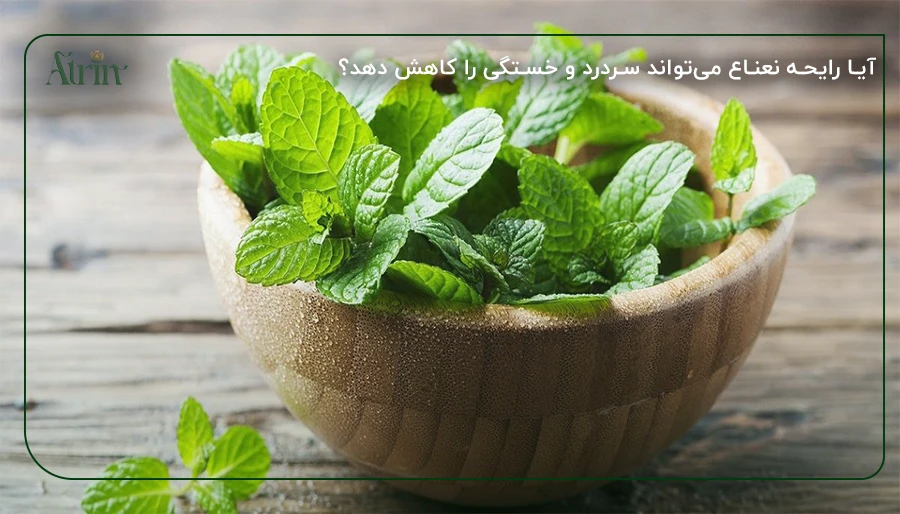 آیا رایحه نعناع می‌تواند سردرد و خستگی را کاهش دهد؟