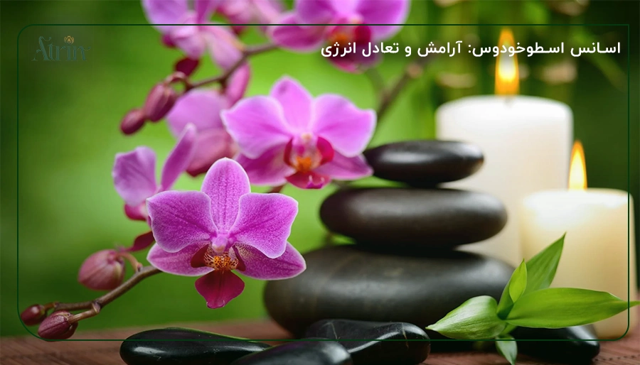 اسانس اسطوخودوس: آرامش و تعادل انرژی