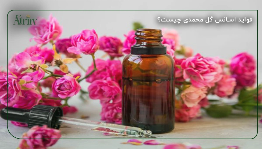 فواید اسانس گل محمدی چیست؟
