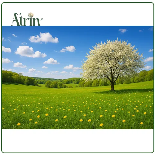 مایع خوشبو کننده هوای محیط رایحه Spring is in the air